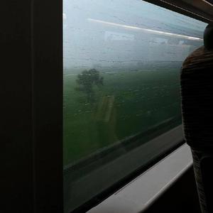 中文字幕网在线
