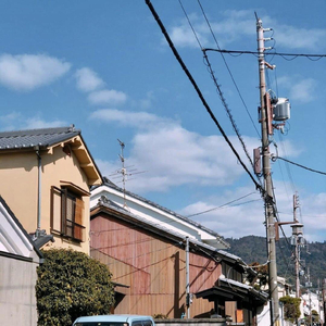 中文字幕网在线
