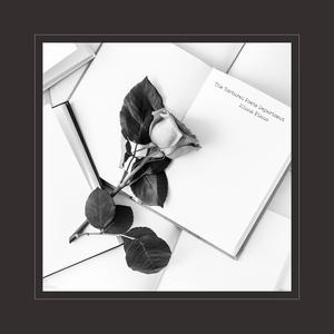 中文字幕网在线
