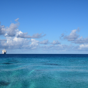 中文字幕网在线
