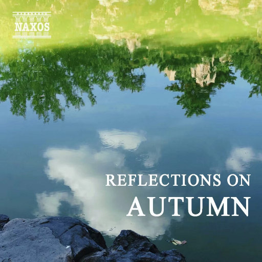 中文字幕网在线
